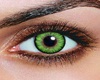 *ENYO* Green Eyes (M)