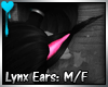 D~Lynx Ears:Black (M/F)