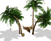 palm tree chill