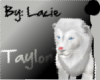 [Lacie]TaylonLion<3