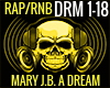 MARY J BLIGE A DREAM PT1