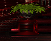 :G:Red pedestal plant