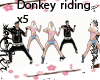 donkey riding dance x5