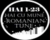 Hai Cu Mine