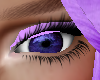 purple eye liner 2023
