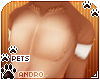 [Pets]Ginga | andro kini