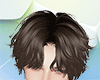 Curtain Haircut brown