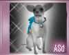 ASd*Chihuahua cute