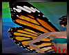 Butterfly Wings V3