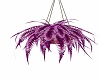purple hanging plant