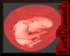 Baby Fetus Inside light