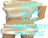 Baby Crew Silk Org Cargo