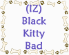 Black Kitty Bad