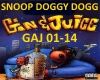 SNOOP DOGG- GIN & JUICE