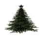 {LS} Christmas Tree Loft