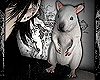 RAT