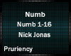 Nick Jonas- Numb