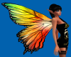Butterfly Wings Animated