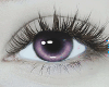 Eyes Florina Purple