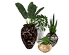 Victorian vases/plants
