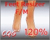CG: Foot Scaler 120% F/M
