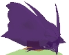 Purple Jelly Head