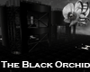 [VS]Black Orchid