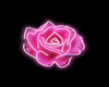 Neon Pink Rose ♥