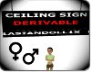 ceiling sign..DERIVABLE