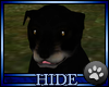 [H] Pup - Black