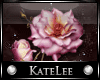 KL: FILLER- Pink Rose