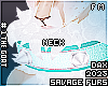 . Fennec | collar