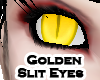 Golden (M) [Slit Eyes]