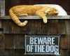 BEWARE OF THE DOG !!!