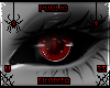 Arana l Eyes Regular