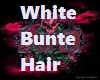WhiteBunte Hair
