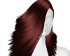 iva Zeny V4
