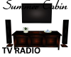 *T* Summer TV Radio