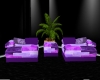 Purple Patch sofas