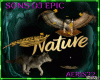 🎧 SONS NATURE DJ EPIC