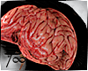 T  Brain Inside Head