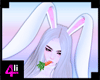 4| Ears Bunny Wht