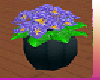 [TGUU] Purple Violets