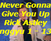 Never Gonna Give you up