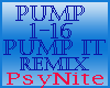 Pump it Remix