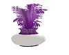 purple  wedd plant