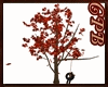 Fall Tree With Swing