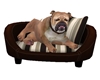 Bull Dog Bed