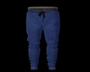 Blue Tech Pants