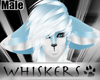Whiskers :Frost Hair M